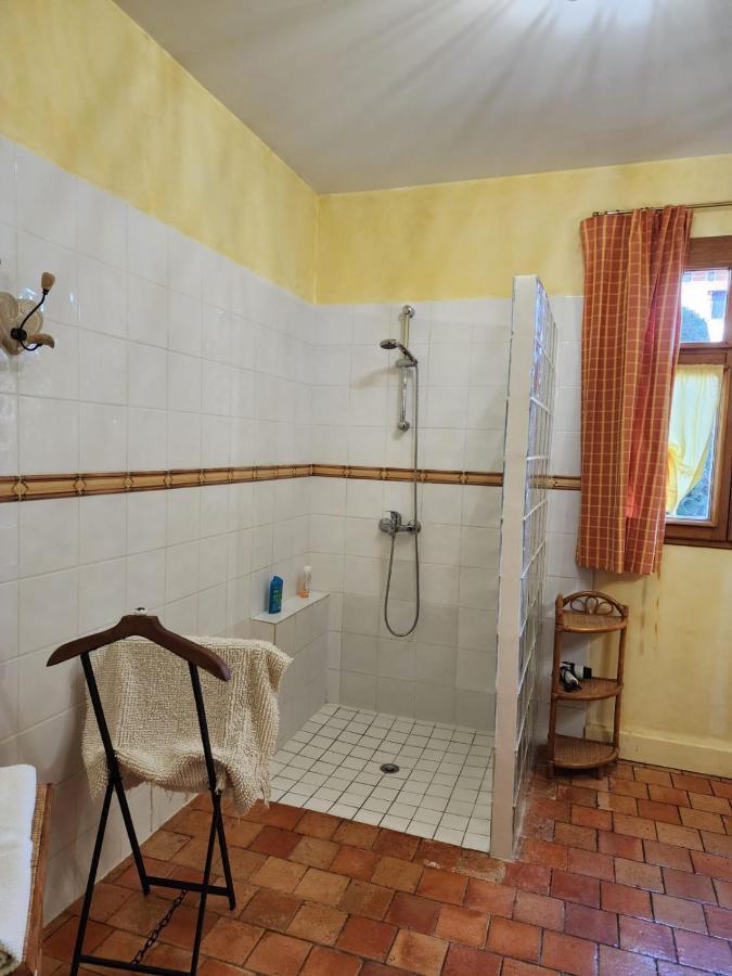 Manoir De La Maison Blanche Amboise Zewnętrze zdjęcie