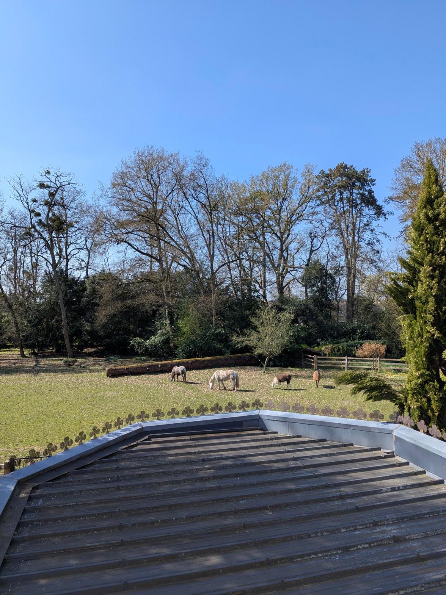 Manoir De La Maison Blanche Amboise Zewnętrze zdjęcie
